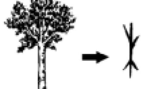 统编版语文七年级上册第二单元自我评估检测试卷-晓语共读