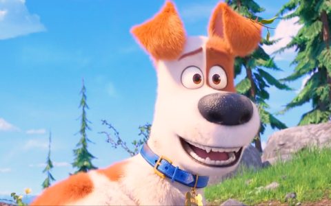 爱宠大机密1 在线观看链接及中英文台词分享-晓语共读