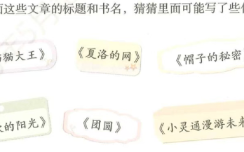 读书名猜猜内容