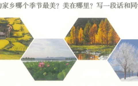 美丽的小兴安岭 小练笔