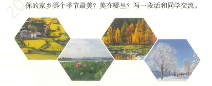 美丽的小兴安岭 小练笔-晓语共读