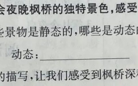 《枫桥夜泊》教学反思