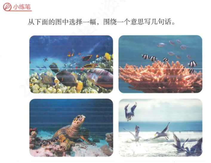 《富饶的西沙群岛》小练笔:从下面的图片中选择一幅,围绕一个意思写几句话-晓语共读