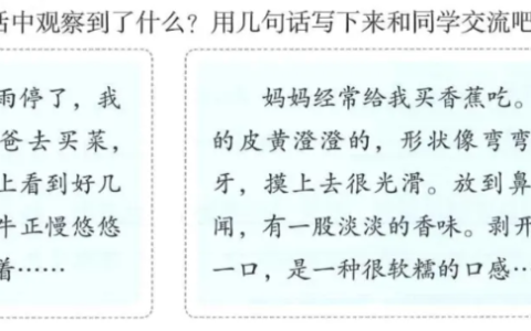 三年级语文上册第五单元初试身手范文