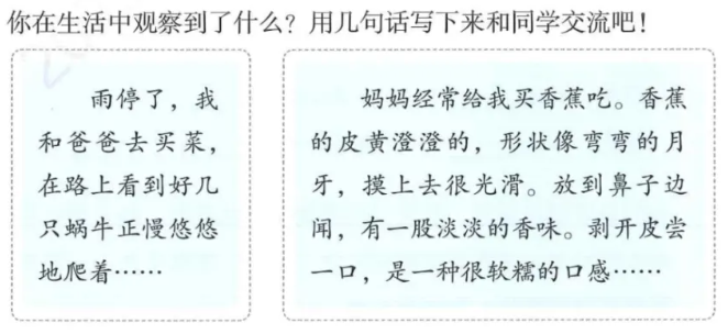 三年级语文上册第五单元初试身手范文-晓语共读