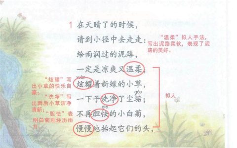 《在天晴了的时候》课堂笔记全文