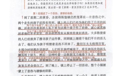 《汤姆·索亚历险记(节选)》课堂笔记全文