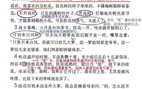 《桂花雨》课堂笔记全文