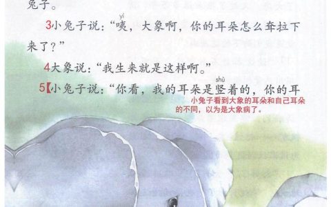 《大象的耳朵》课堂笔记全文