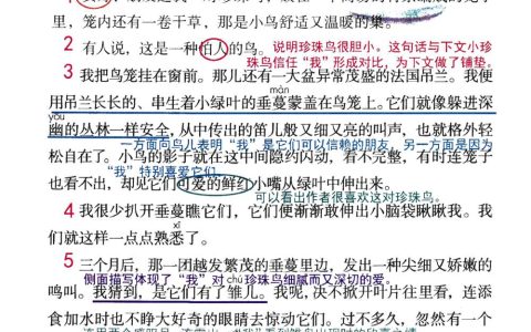 《珍珠鸟》课堂笔记全文
