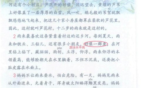 《小英雄雨来(节选)》课堂笔记全文