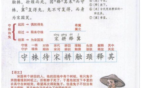 《守株待兔》课堂笔记全文