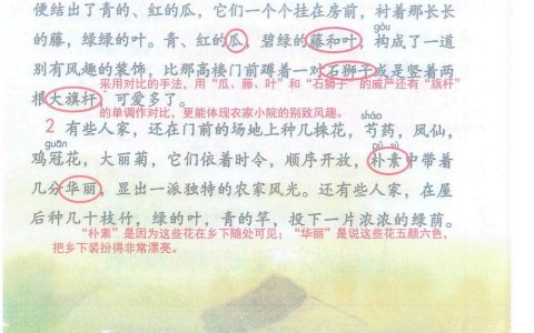 《乡下人家》课堂笔记全文
