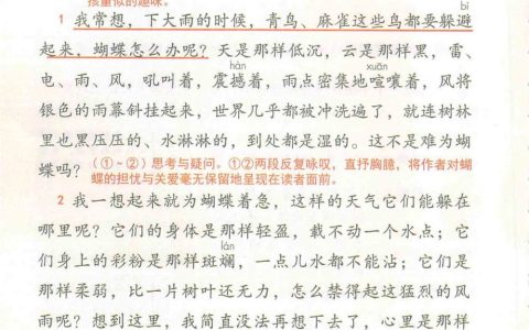 《蝴蝶的家》课堂笔记全文