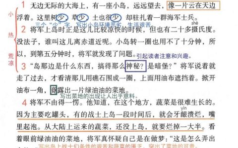 《小岛》课堂笔记全文