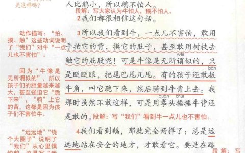 《牛和鹅》课堂笔记全文