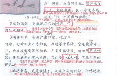 《白鹅》课堂笔记全文