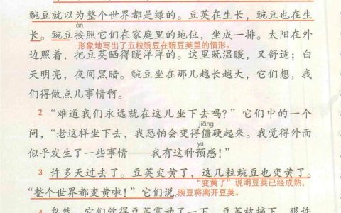 《一个豆荚里的五粒豆》课堂笔记全文