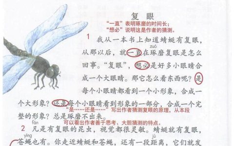 《昆虫备忘录》课堂笔记全文