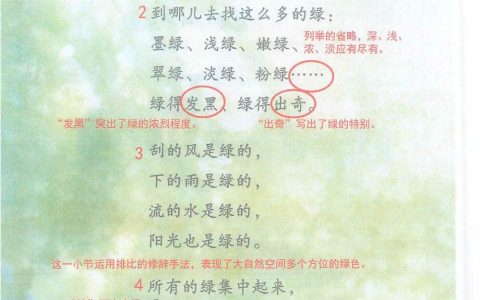 《绿》课堂笔记全文