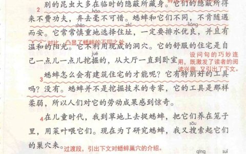 《蟋蟀的住宅》课堂笔记全文