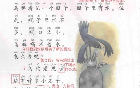 《乌鸦喝水》课堂笔记全文