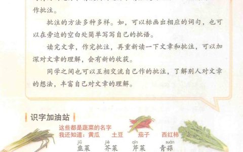 四年级上册《语文园地五》课堂笔记全文