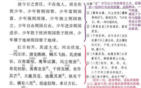 《少年中国说（节选）》课堂笔记全文