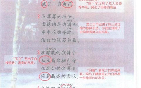 《白桦》课堂笔记全文