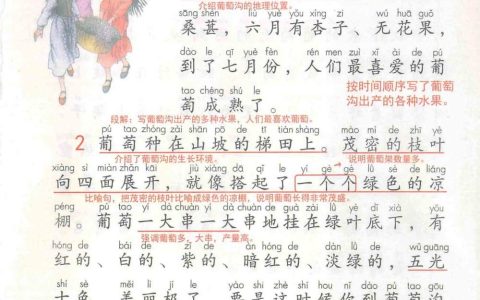 《葡萄沟》课堂笔记全文