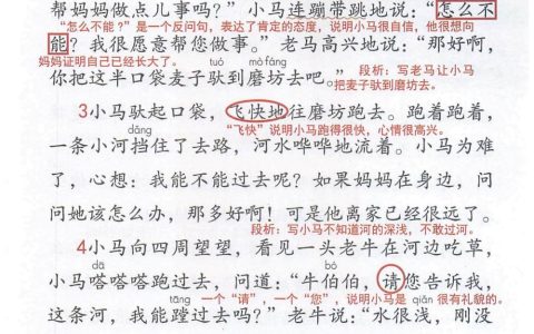 《小马过河》课堂笔记全文