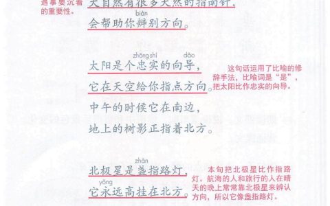 《要是你在野外迷了路》课堂笔记全文