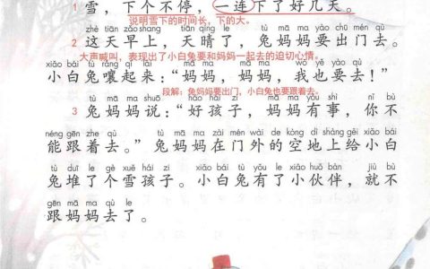 《雪孩子》课堂笔记全文