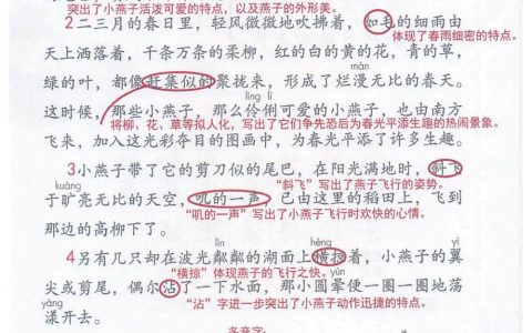 《燕子》课堂笔记全文