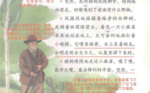 《麻雀》课堂笔记全文