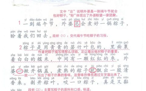 《端午粽》课堂笔记全文