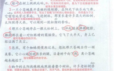 《琥珀》课堂笔记全文