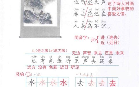 《画》课堂笔记全文