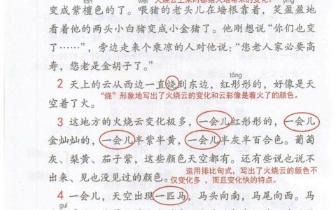 《火烧云》课堂笔记全文