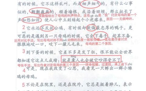 《母鸡》课堂笔记全文