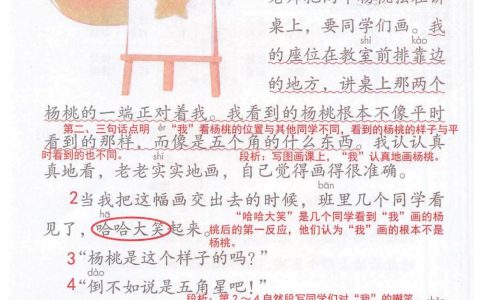 《画杨桃》课堂笔记全文