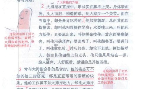 《手指》课堂笔记全文