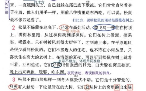《松鼠》课堂笔记全文