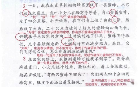 《蜜蜂》课堂笔记全文