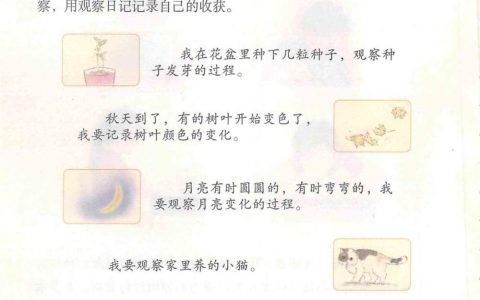 习作《写观察日记》课堂笔记全文
