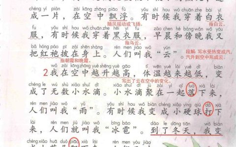 《我是什么》课堂笔记全文