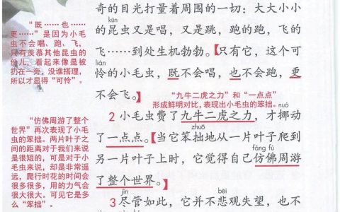 《小毛虫》课堂笔记全文