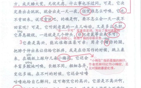 《猫》课堂笔记全文