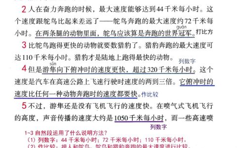 《什么比猎豹的速度更快》课堂笔记全文