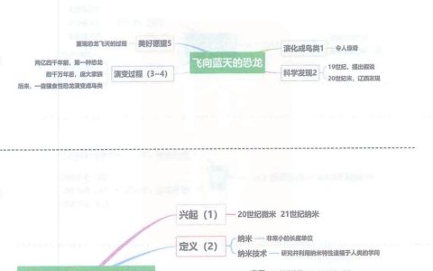 《琥珀》《飞向蓝天的恐龙》《纳米技术就在我们身边》思维导图全文